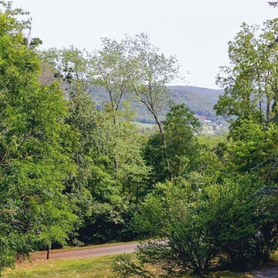 Maple Hill Lodge